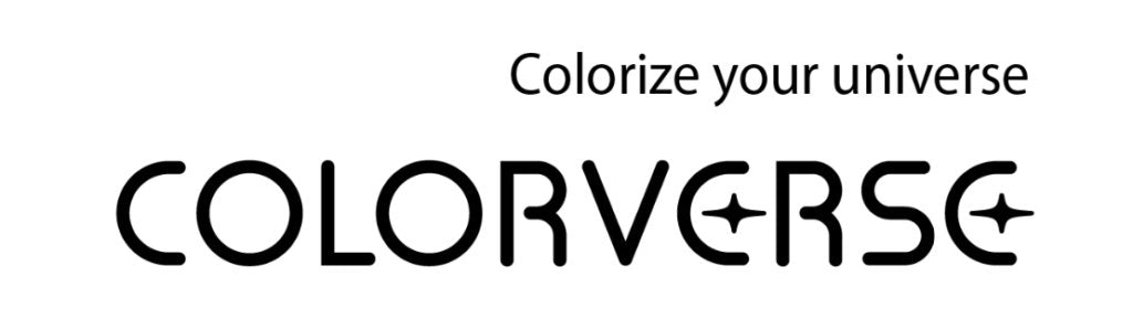 Colorverse Fountain Pens Inks in South Africa