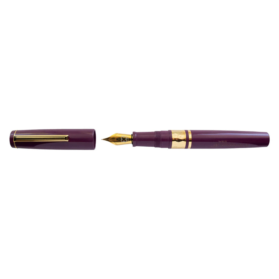 Esterbrook Model J Blackberry Ebonite Fountain Pen
