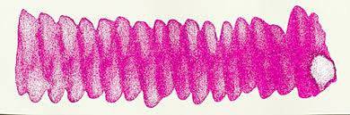 Diamine Shimmertastic Ink